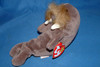 Ty Beanie Baby Jolly the Walrus