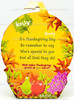 Kelly Club Happy Thanksgiving Kerstie Pilgrim Barbie Doll 2004 Mattel B9215