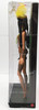 Amazonia Barbie Dolls Of The World 2008 Mattel Pink Label #P4754 NRFB