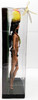 Amazonia Barbie Dolls Of The World 2008 Mattel Pink Label #P4754 NRFB