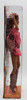 Barbie Fashionistas Artsy African American Doll 2009 Mattel #R9883