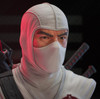 G.I. Joe Legends in 3-Dimensions Storm Shadow Cobra Ninja 1/2 Scale Resin Bust