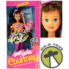 Barbie Pet Pals Courtney Doll with Kitty & Accessories 1991 Mattel 2710