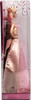2009 Holiday Barbie Doll Mattel N6556
