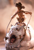 McFarlane's Monsters Series Two Twisted Land of Oz Toto Action Figure NRFP