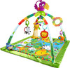 Fisher-Price Rainforest Music & Lights Deluxe Infant Gym