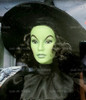 Wicked Witch of the West Barbie The Wizard Of Oz Pink Label 2008 #N6561