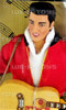 Elvis The Sun Never Sets on a Legend Elvis Jailhouse Rock Doll 1993 Hasbro 9146