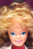 Barbie Jewel Secrets Skipper Doll With Camera 1986 Mattel No. 3133