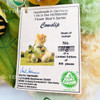 Hermann Teddy Bear Cowslip Limited No. 118 of 500 11th in Flower Bear Series NEW