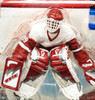 NHL Series 2 Dominik Hasek Action Figure Detroit Red Wings #39 McFarlane NEW