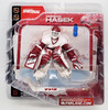 NHL Series 2 Dominik Hasek Action Figure Detroit Red Wings #39 McFarlane NEW