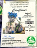 Hermann Teddy Bear Cornflower 8th in Flower Bear Series No. 29 of 500 NEW