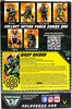 Action Force Wasp Raider 01-07 Botcon Exclusive Valaverse Figure 2021 NRFB