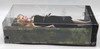 The Twilight Saga Rosalie Barbie Doll Pink Label Collector 2012 Mattel Y5189
