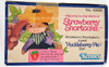 Strawberry Shortcake Huckleberry Pie 5in Doll 1980 Kenner #43030 NEW