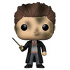 Harry Potter Funko Pop Movies Harry Potter 65 Accident Seamus Finnigan Vinyl Figure
