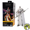 Star Wars The Black Series MagnaGuard, The Clone Wars 6" Action Figure 2023 NRFB
