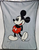 Disney Rewards Visa Card from Chase Bank Mickey Mouse Fleece Picnic Blanket USED