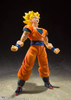 Tamashii Nations SH Figuarts Dragon Ball Z Super Saiyan Full Power Son Goku NRFP