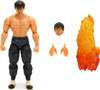 Ultra Street Fighter II The Final Challengers Fei Long Action Figure Jada Toys