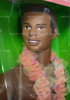 Barbie Island Fun Steven African American Doll 1987 Mattel 4093 NRFB