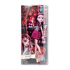 Monster High Scarnival Draculaura Doll 2014 Mattel No. CKD67 NRFB