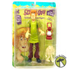 Scooby-Doo Shaggy Poseable Figure with Glow in the Dark Ghoul 1999