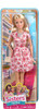 Barbie Sisters Fun Day Doll 2014 Mattel CCP82