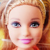 Barbie Great Puppy Adventure Stacie Doll 2014 Mattel #DMB28 NRFB