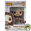 Funko Pop Harry Potter 67 Azkaban Prison Sirius Black Vinyl Figure GameStop NEW