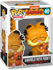 Funko Pop Comics 40 Garfield with Pooky Vinyl Figure 2024