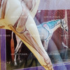 Anatomy In Motion Traditional Series Model Horse #1228 Breyer 2005 NEW