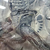 Alien Vs Predator Grid Alien Action Figure 2004 McFarlane Toys 17794 NRFP