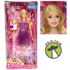Barbie February Amethyst Birthstone Doll 2014 Mattel CHJ38 NRFB