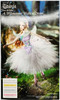 Titania From the Ballet A Midsummer Night's Dream Barbie Doll 2004 Mattel USED