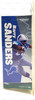 NFL Legends Detroit Lions Barry Sanders Action Figure 2005 McFarlane Toys