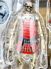 Takeyashiki Jizai Okimono KT-010 Samurai Skeleton Action Figure Kaiyodo