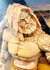 Masters of the Universe Procrustus Giant Guardian of Magic Figure 2012 Mattel
