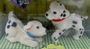 Barbie Pet Lovin' Puppy Twins Dalmatians Figures 2000 Mattel #67388-91NRFB