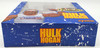 Hulk Hogan Ringside Collectibles Exclusive Action Figure Storm Collectibles NRFB