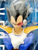S.H. Figuarts Dragon Ball Z Vegeta Action Figure 57459