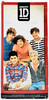 One Direction Liam Collector Doll 2012 Hasbro 80973