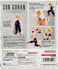 Dragon Ball Z Super Saiyan Son Gohan The Warrior who Surpassed Goku Figure