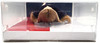 Barbie Signature Tommy Hilfiger Gigi Hadid Doll 2017 Mattel #FPV63