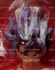 Dragon Ball Z S.H.Figuarts Son Goku Kaioken Action Figure Tamashii Nations