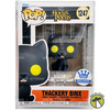 Funko POP Hocus Pocus Thackery Binx 1247 Vinyl Figure