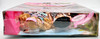 Barbie Life in The Dreamhouse Raquelle and Summer Doll Giftset 2012 Mattel Y7449