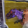 Transformers Beast Wars Transmetals Evil Predacon Megatron Figure Kenner #80422