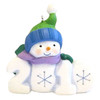 Frosty Fun Decade 2010 Ornament Hallmark Keepsake